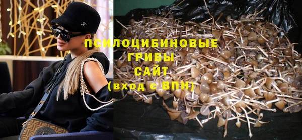 прущий лед Липки