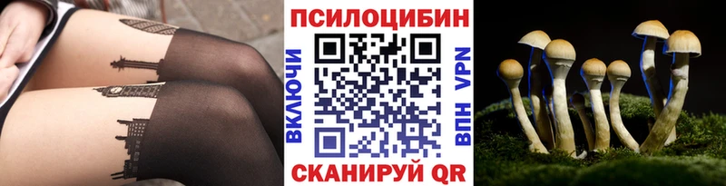 Псилоцибиновые грибы прущие грибы  Шлиссельбург 