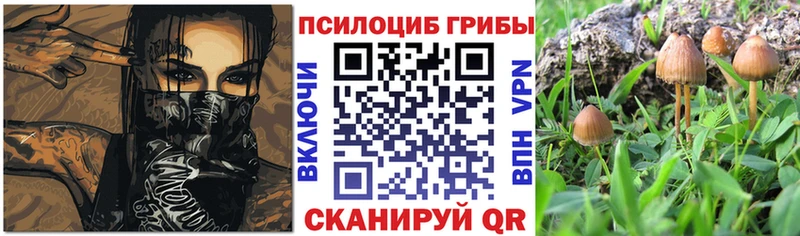 Галлюциногенные грибы прущие грибы Шлиссельбург